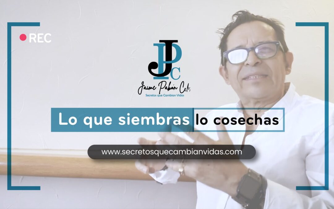 Lo que siembras, lo cosechas